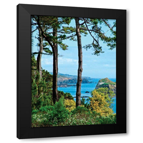 Sunny Afternoon Black Modern Wood Framed Art Print by Crane, Rita