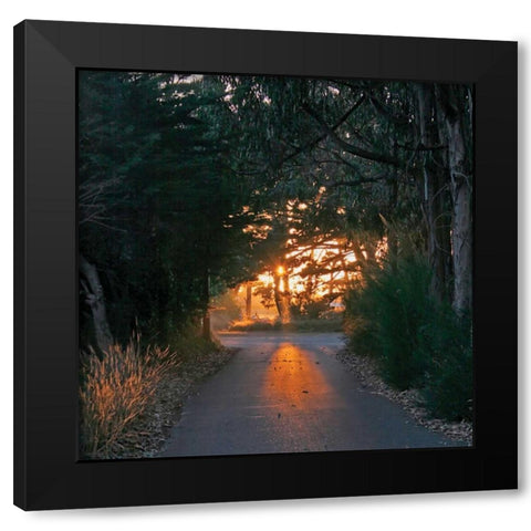 The Road Home Black Modern Wood Framed Art Print by Crane, Rita