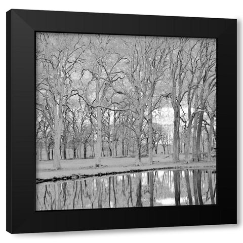 Along the Canal Black Modern Wood Framed Art Print with Double Matting by Crane, Rita