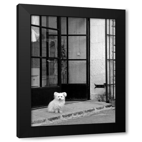 Little Dog V Black Modern Wood Framed Art Print by Crane, Rita
