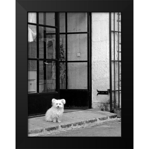 Little Dog V Black Modern Wood Framed Art Print by Crane, Rita