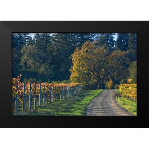 After the Harvest I Black Modern Wood Framed Art Print by Crane, Rita