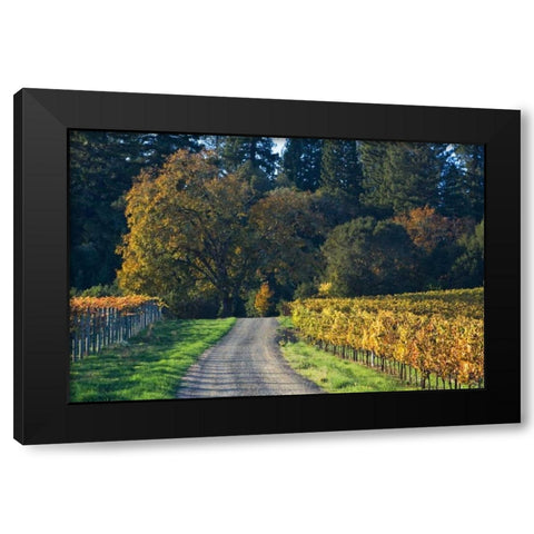 After the Harvest II Black Modern Wood Framed Art Print by Crane, Rita