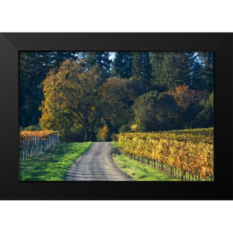 After the Harvest II Black Modern Wood Framed Art Print by Crane, Rita