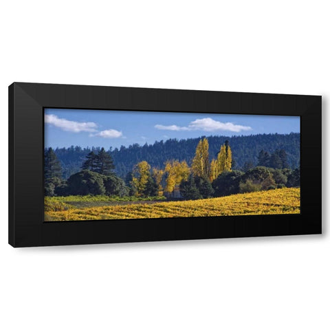 Autumn Gold I Black Modern Wood Framed Art Print by Crane, Rita