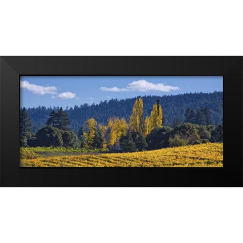 Autumn Gold I Black Modern Wood Framed Art Print by Crane, Rita