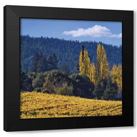 Autumn Gold II Black Modern Wood Framed Art Print with Double Matting by Crane, Rita