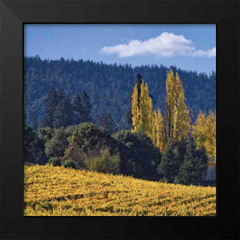 Autumn Gold II Black Modern Wood Framed Art Print by Crane, Rita