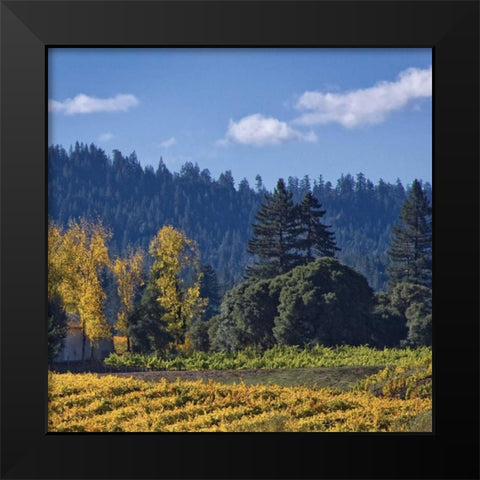 Autumn Gold III Black Modern Wood Framed Art Print by Crane, Rita