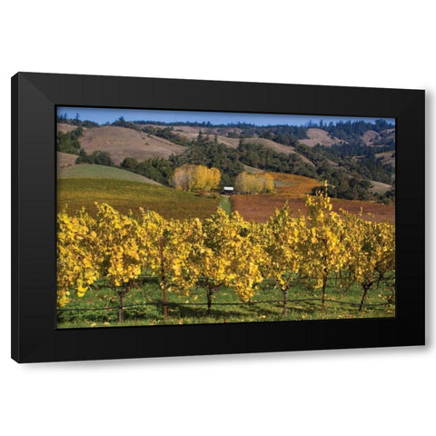 Barns and Vineyards I Black Modern Wood Framed Art Print by Crane, Rita