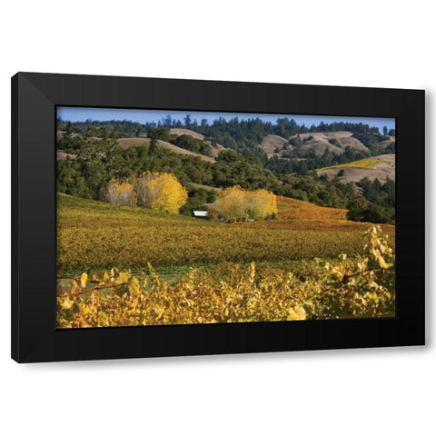 Barns and Vineyards II Black Modern Wood Framed Art Print with Double Matting by Crane, Rita