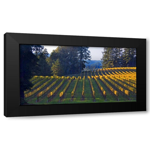 Golden Rows III Black Modern Wood Framed Art Print with Double Matting by Crane, Rita