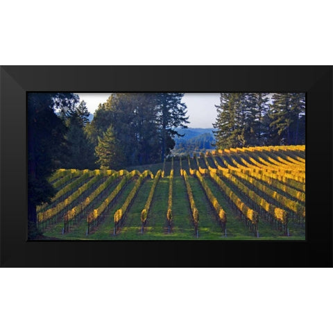 Golden Rows III Black Modern Wood Framed Art Print by Crane, Rita