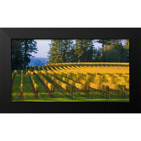 Golden Rows IV Black Modern Wood Framed Art Print by Crane, Rita