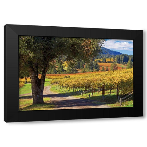 Oak and Vine I Black Modern Wood Framed Art Print with Double Matting by Crane, Rita