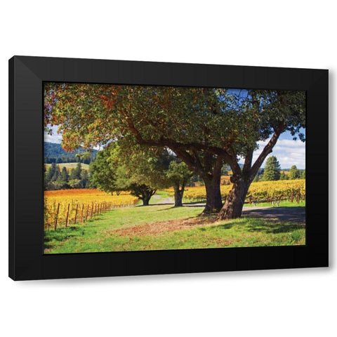 Oak and Vine II Black Modern Wood Framed Art Print by Crane, Rita