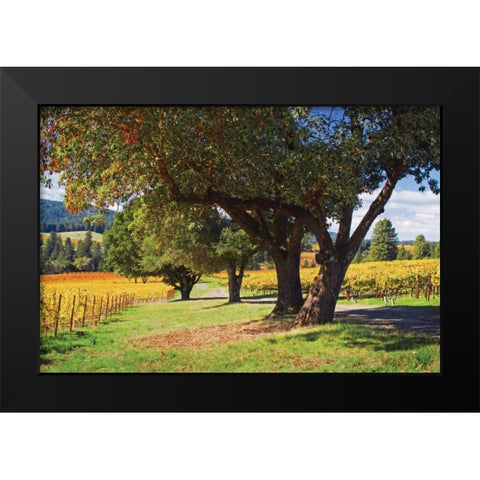 Oak and Vine II Black Modern Wood Framed Art Print by Crane, Rita