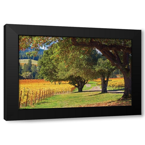 Oak and Vine III Black Modern Wood Framed Art Print with Double Matting by Crane, Rita
