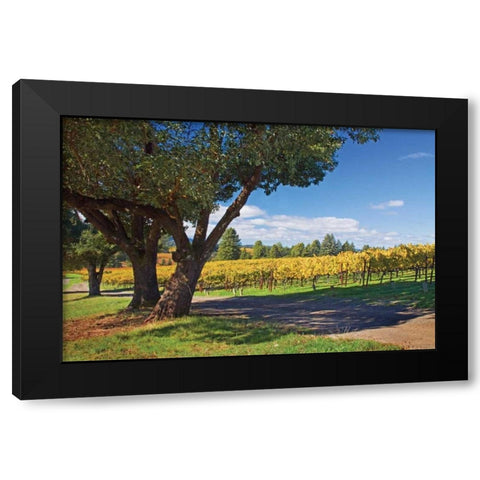Oak and Vine IV Black Modern Wood Framed Art Print by Crane, Rita