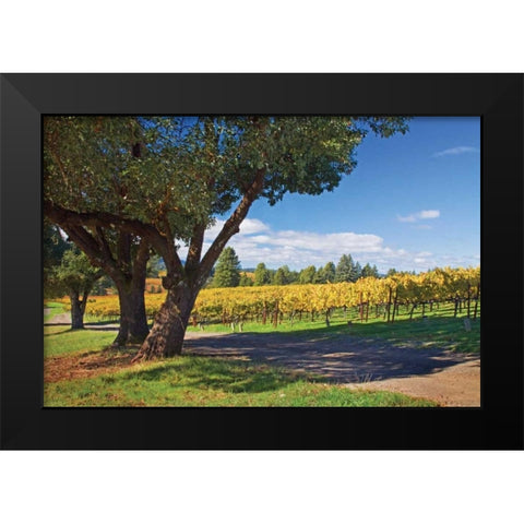 Oak and Vine IV Black Modern Wood Framed Art Print by Crane, Rita