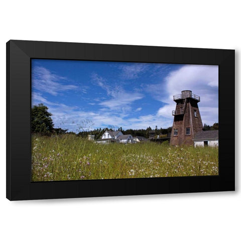 Village Meadow II Black Modern Wood Framed Art Print by Crane, Rita