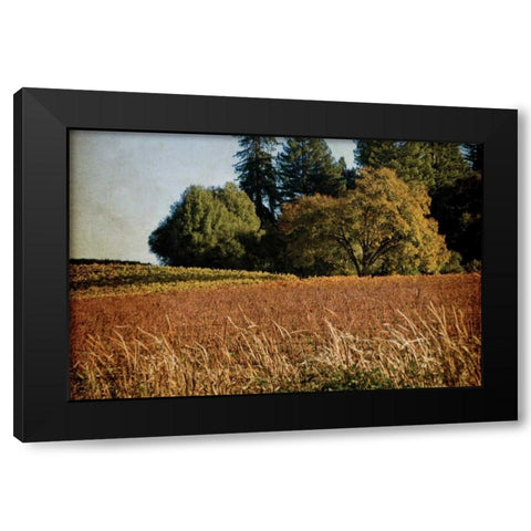 Vineyard Tapestry II Black Modern Wood Framed Art Print with Double Matting by Crane, Rita