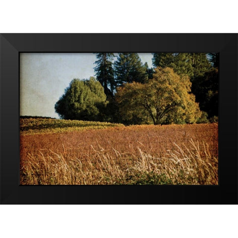 Vineyard Tapestry II Black Modern Wood Framed Art Print by Crane, Rita