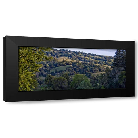 Woodland Pastures I Black Modern Wood Framed Art Print by Crane, Rita