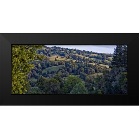 Woodland Pastures I Black Modern Wood Framed Art Print by Crane, Rita