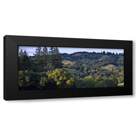Woodland Pastures II Black Modern Wood Framed Art Print with Double Matting by Crane, Rita