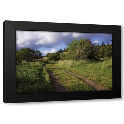In the Country I Black Modern Wood Framed Art Print with Double Matting by Crane, Rita