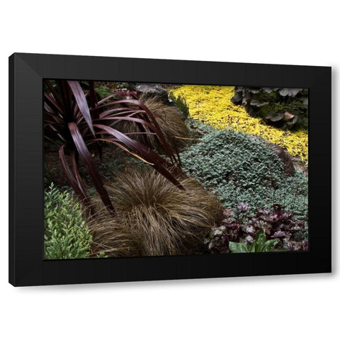 Garden Glimpse IV Black Modern Wood Framed Art Print by Crane, Rita