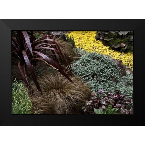 Garden Glimpse IV Black Modern Wood Framed Art Print by Crane, Rita