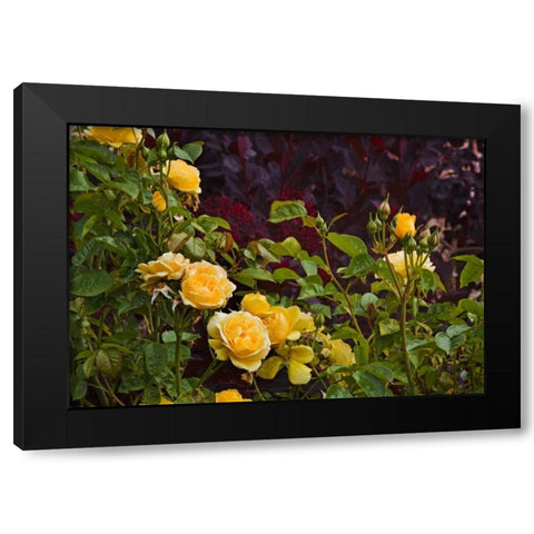 Garden Glimpse V Black Modern Wood Framed Art Print by Crane, Rita