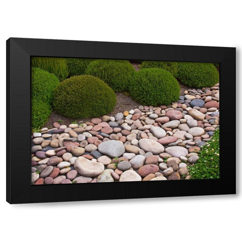 Garden Glimpse VIII Black Modern Wood Framed Art Print by Crane, Rita