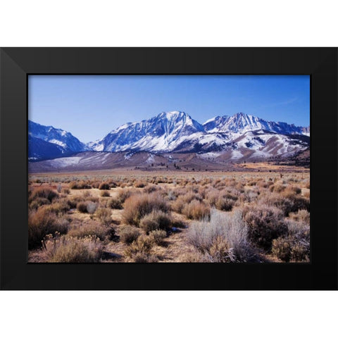 Eastern Sierra II Black Modern Wood Framed Art Print by Crane, Rita
