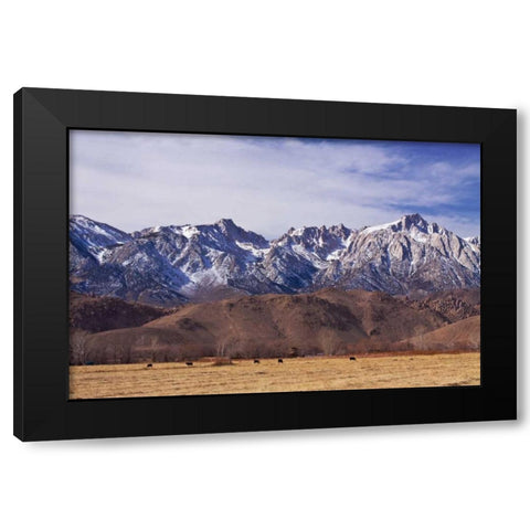 Mt. Whitney Range II Black Modern Wood Framed Art Print with Double Matting by Crane, Rita
