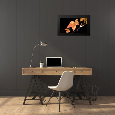 Amber Leaves I Black Modern Wood Framed Art Print by Crane, Rita