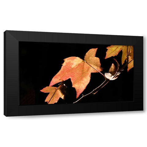 Amber Leaves I Black Modern Wood Framed Art Print with Double Matting by Crane, Rita