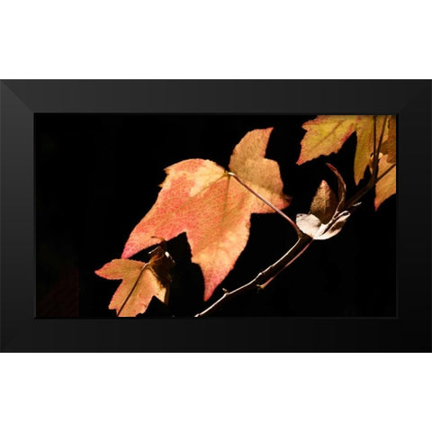 Amber Leaves I Black Modern Wood Framed Art Print by Crane, Rita