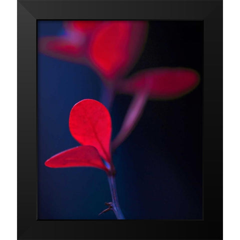 Dancing Blue and Red I Black Modern Wood Framed Art Print by Crane, Rita