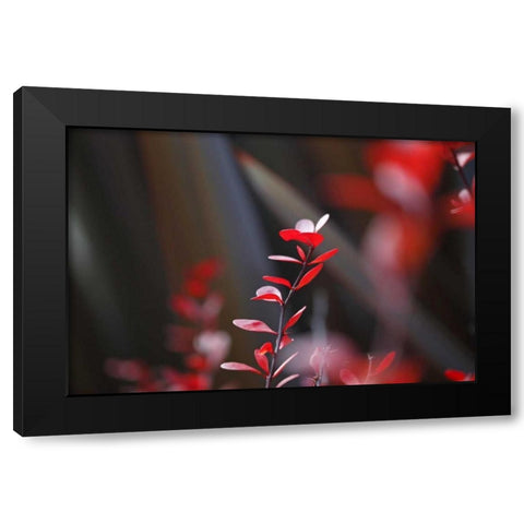 Red Grey Interplay I Black Modern Wood Framed Art Print with Double Matting by Crane, Rita