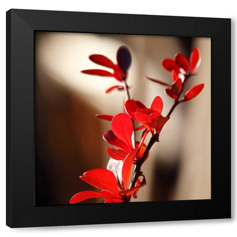 Red Leaves II Black Modern Wood Framed Art Print by Crane, Rita