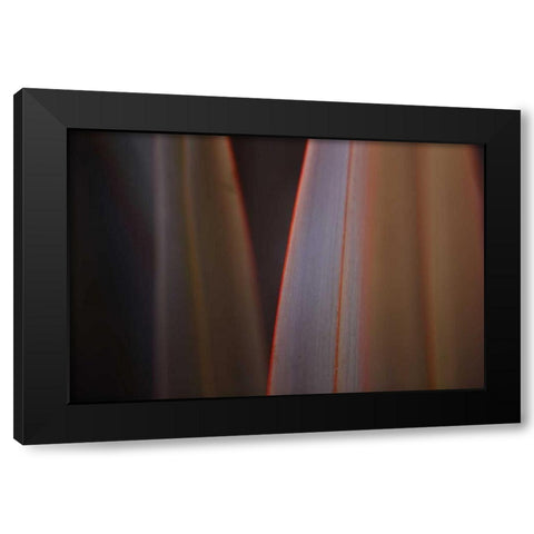 Leaves With Red I Black Modern Wood Framed Art Print with Double Matting by Crane, Rita