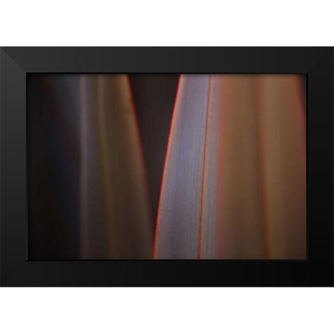 Leaves With Red I Black Modern Wood Framed Art Print by Crane, Rita