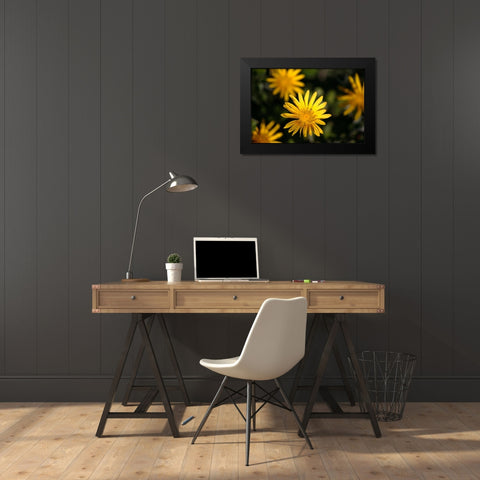 Celebration I Black Modern Wood Framed Art Print by Crane, Rita
