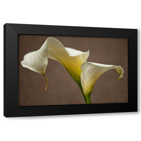 Calla Elegance I Black Modern Wood Framed Art Print with Double Matting by Crane, Rita