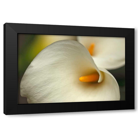 Calla Lilies I Black Modern Wood Framed Art Print by Crane, Rita
