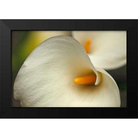 Calla Lilies I Black Modern Wood Framed Art Print by Crane, Rita