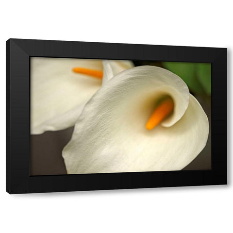 Calla Lilies IV Black Modern Wood Framed Art Print by Crane, Rita